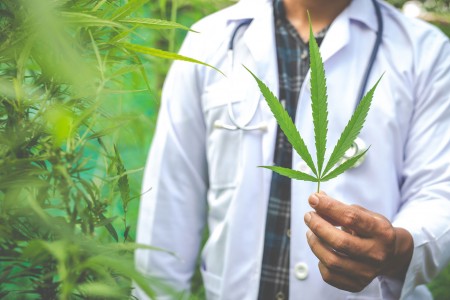 santé CBD