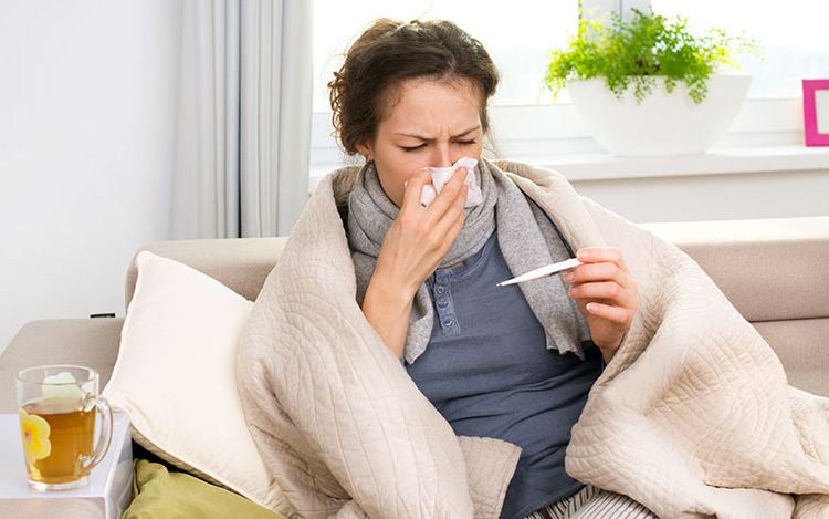 Vaincre la grippe en utilisant les plantes